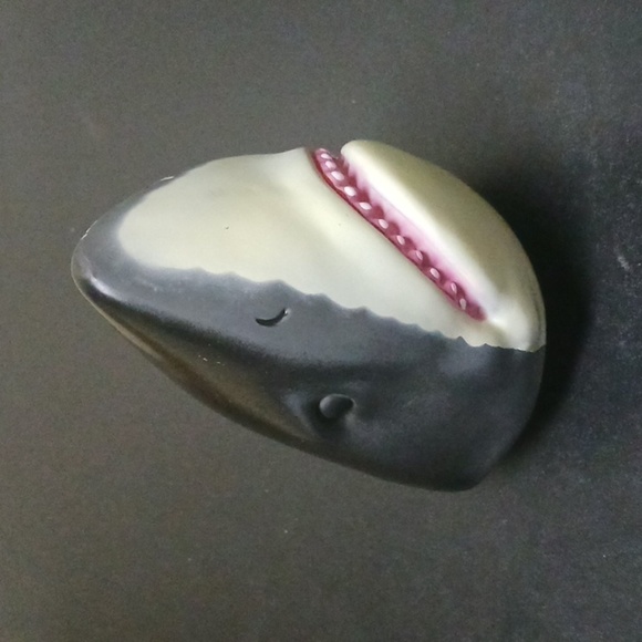 Shark Case - Picture 1 of 8